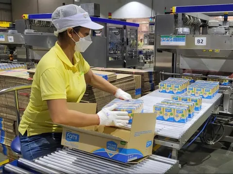 Chủ loạt thương hiệu sữa đậu nành Fami, Mộc Châu Milk, Hanoimilk cùng báo lãi sụt mạnh