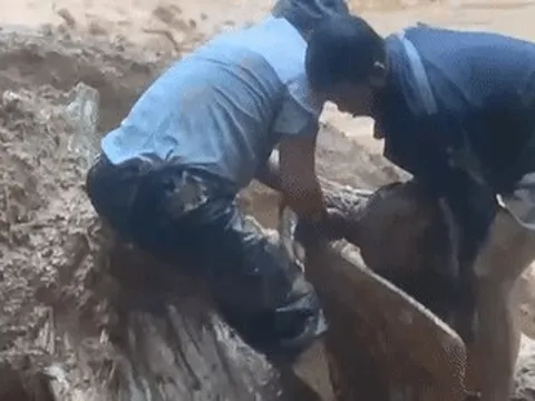 Clip: Thót tim giải cứu nam tài xế bị cuốn xuống vực ở Đà Nẵng