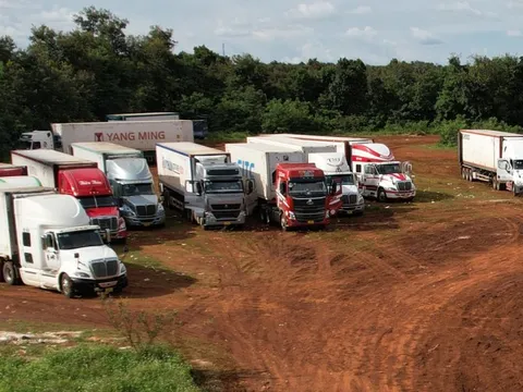 Gần 2.000 container sầu riêng bị ùn ứ, Đắk Lắk lên kế hoạch xây trung tâm kiểm nghiệm