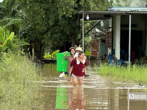 Video: Người dân Lâm Đồng lội nước để mưu sinh trong những ngày mưa, lũ