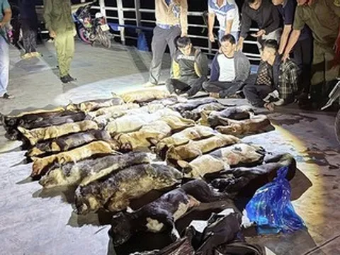 Công an kiểm tra 3 thanh niên chở 4 túi nylon giữa đêm, phát hiện điều bất thường