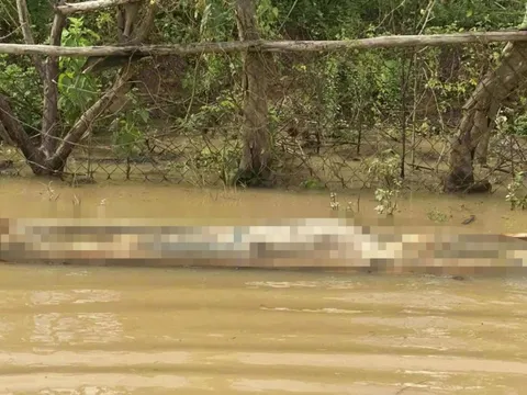 Người đàn ông mặc áo xanh không giấy tờ tùy thân chết nổi trên sông