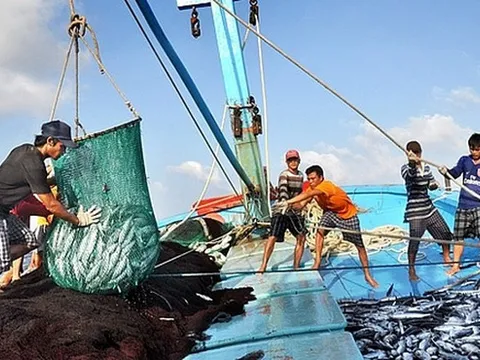 Thủ tướng yêu cầu tập trung thực hiện tháng cao điểm chống khai thác hải sản bất hợp pháp