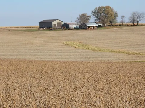 Trung Quốc cam kết mua 75 triệu tấn đậu nành Mỹ trong 3 năm tới