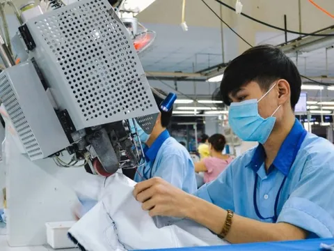 Từ 'ông lớn' ngành may, giờ Garmex Sài Gòn trông cậy vào sân pickleball