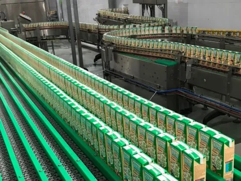 Chủ thương hiệu sữa KUN báo lỗ cả trăm tỉ đồng