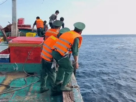 Clip cứu hộ 8 người nhảy từ tàu cá bị chìm sau va chạm với tàu hàng ở Côn Đảo