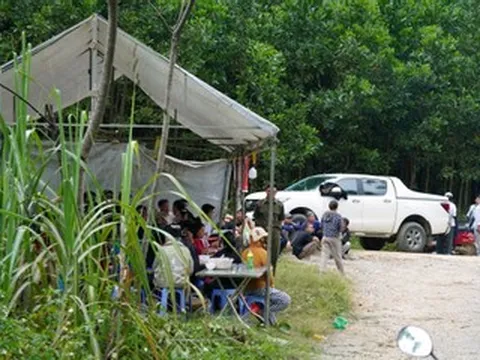 Vụ dân dựng lều phản đối trại lợn ở Thanh Hóa: Ngừng nuôi mới, xử lý ngay ô nhiễm