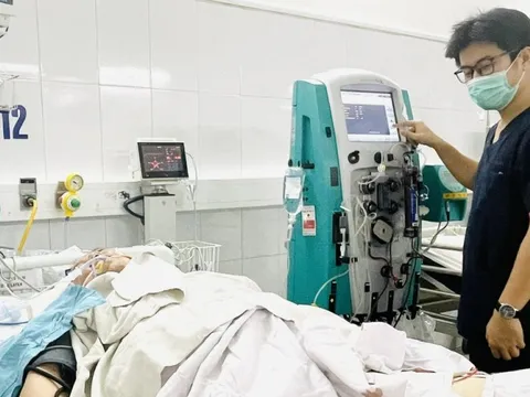 Liên tiếp ca rắn cắn nhập viện sau mưa lũ, đừng garo hay hút nọc