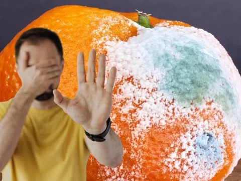 Đừng liều ăn thực phẩm mốc, nguy hiểm khôn lường