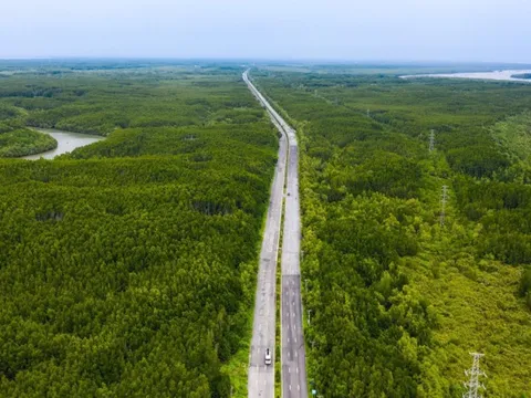 TP HCM giao Vingroup nghiên cứu đường vượt biển phía nam