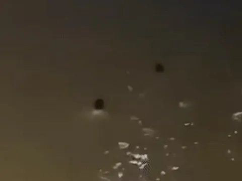 Clip 'người hùng' lao xuống sông cứu người phụ nữ nhảy cầu Tân Lý trong đêm