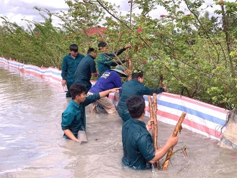 Đồng bằng sông Cửu Long vào đợt triều cường mới cao hơn mức báo động 3 40cm