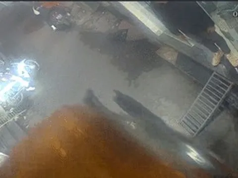 Ô tô tải tông hàng loạt xe ở Hà Nội, nhân chứng kể giây phút thoát nạn