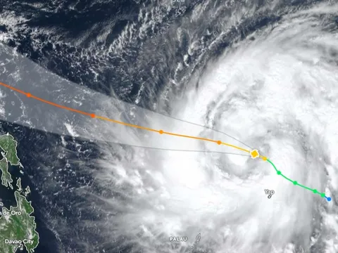 Bay đi giùm chim ơi!