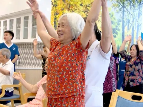 Viện dưỡng lão bán trú: Lối ra khi dân số già