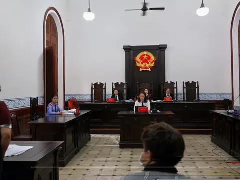 Lý rành rọt, tình đau nhói