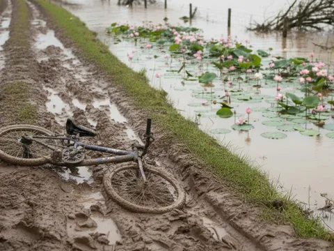 Hai anh em họ ở Đà Nẵng tử vong thương tâm