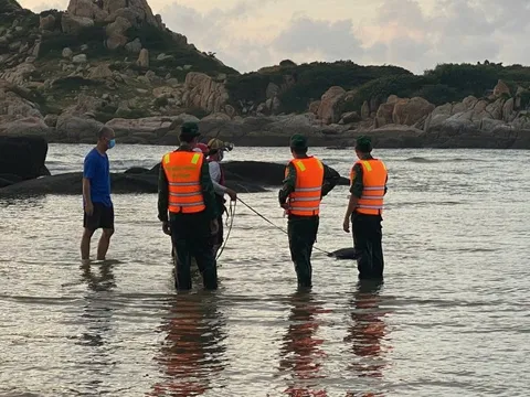Tìm thấy thi thể du khách TP HCM bị sóng cuốn tại Kê Gà