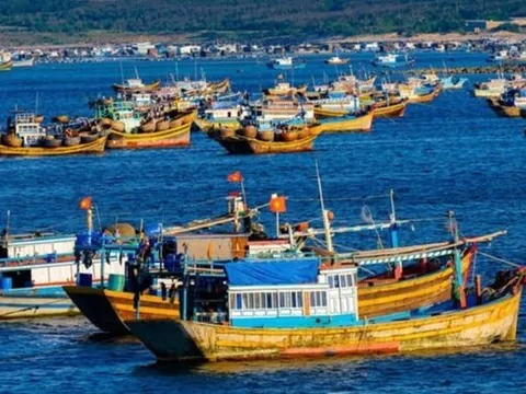 Xử lý dứt điểm tình trạng tàu cá “3 không”