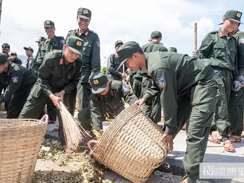 Gia Lai: Dốc toàn lực khắc phục hậu quả bão 13 với tinh thần quyết liệt nhất