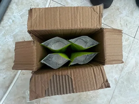 Cất giấu 20kg bạc dưới đế giày vận chuyển qua biên giới, nhóm đối tượng bị khởi tố