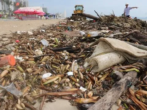 Cảnh tượng khó coi trên bãi biển ở TPHCM