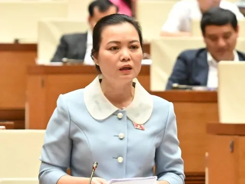 Đề nghị hãng bay nêu rõ lý do chậm, hủy chuyến bay và phải trả lãi nếu quá hạn bồi thường