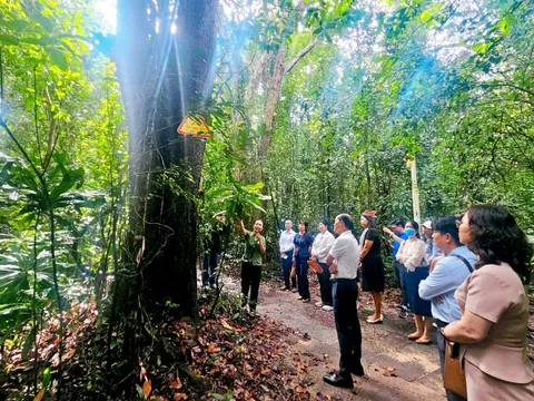 Khai mở tiềm năng để Hồ Tràm vươn tầm quốc tế