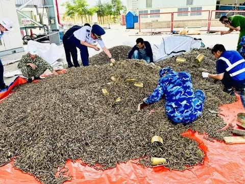 Điều tra vụ nhập hơn 25 tấn vỏ đạn quân dụng về cảng Hải Phòng