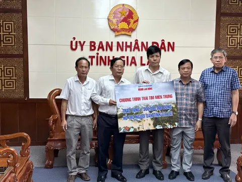Hơn 90 tỉ đồng ủng hộ Gia Lai khắc phục hậu quả bão số 13