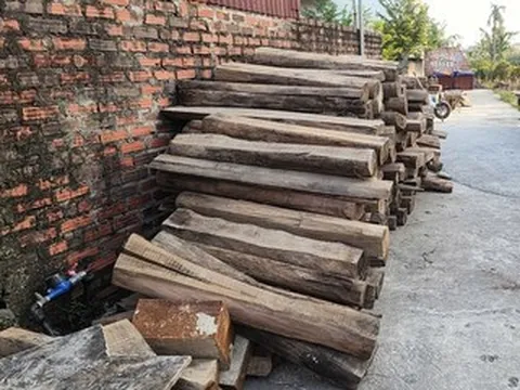 Xây nhầm nhà trên đất hàng xóm ở Hải Phòng: Chỉ được di dời khi có giấy phép