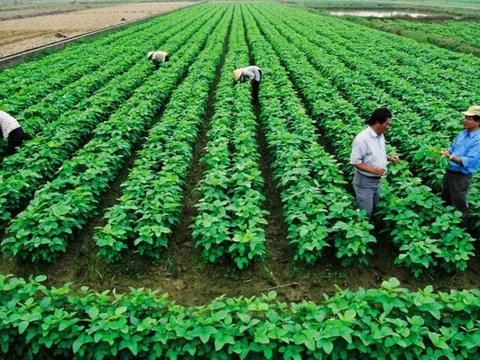 Sửa một số quy định về tiền sử dụng đất