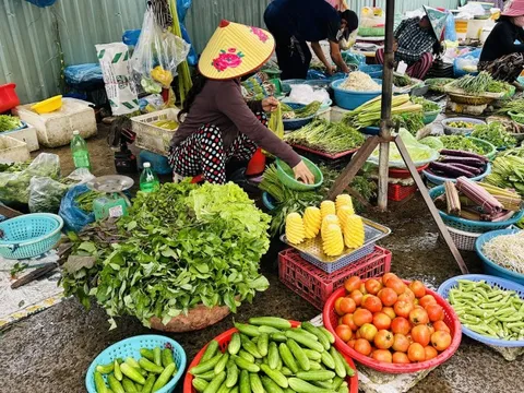Giá rau xanh, bầu, mướp... ở miền Tây tăng cao vì mùa nước nổi làm đứt vụ