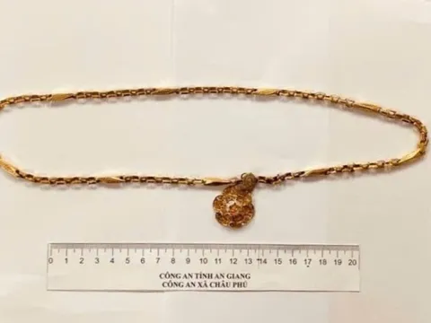 Tạm giữ đối tượng giật dây chuyền vàng của người phụ nữ đi bộ
