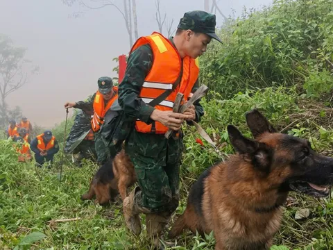Huy động chó nghiệp vụ tìm 3 nạn nhân nghi bị vùi lấp trong sạt lở ở Đà Nẵng