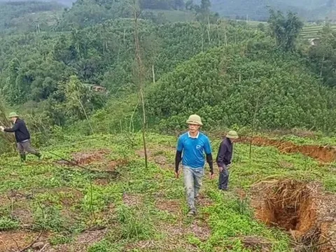 Hà Tĩnh: Sơ tán khẩn cấp các hộ dân khi xuất hiện vết nứt kéo dài trên núi