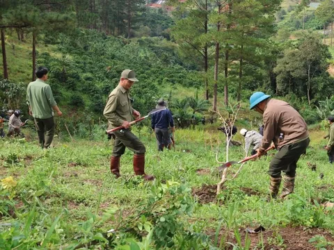 Lâm Đồng thông báo tìm người chiếm đất
