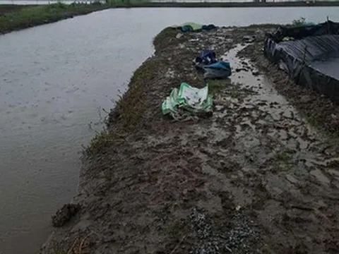 Hai người tử vong nghi bị sét đánh