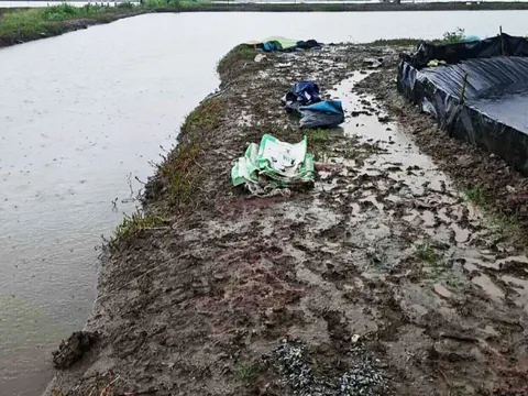 Hai người làm thuê bị sét đánh tử vong khi vệ sinh ao tôm