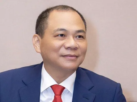 Xuất hiện cổ đông ngoại góp 5% vốn tại VinEnergo của tỉ phú Phạm Nhật Vượng