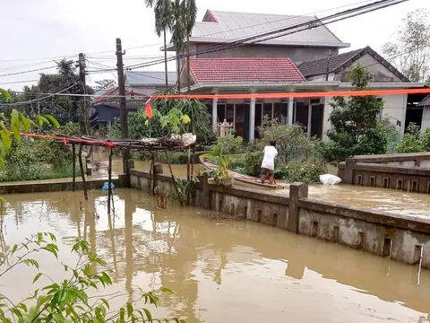 Sống chung với lụt