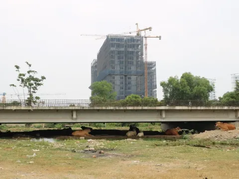 Vành đai 2 - TP HCM chuẩn bị khởi công