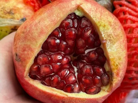 Mùa lựu đến, nhớ dùng nước ép trái lựu ngon và bổ dưỡng