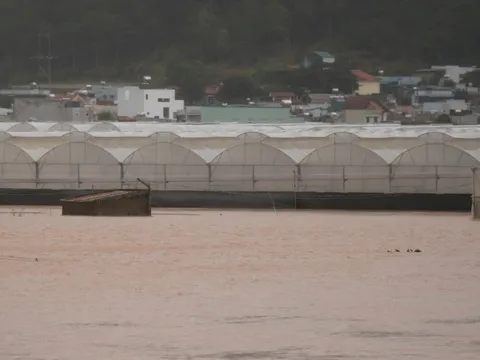 Lâm Đồng đề nghị các thủy điện phối hợp cắt lũ, sơ tán dân vùng hạ du