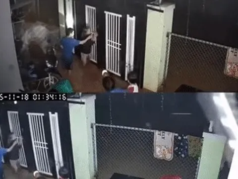 Clip hàng xóm gọi nhau ‘chạy lũ' giữa đêm khiến người xem nghẹn lòng