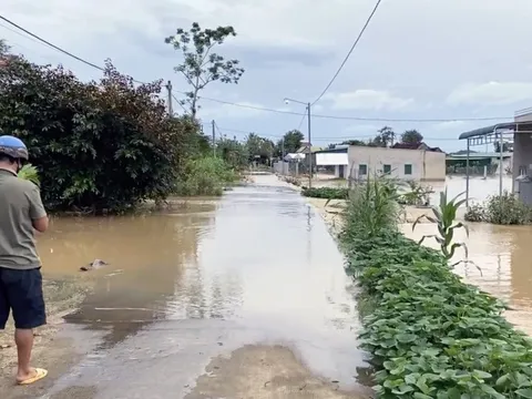 Chính quyền nói ‘không nhận được thông báo chính thức xả lũ’: Công ty Thủy điện Đồng Nai 5 nói gì?