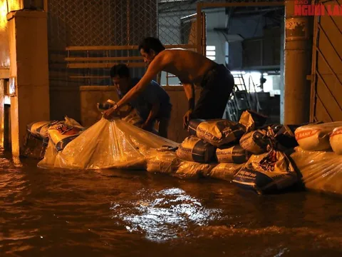 TPHCM: Cảnh báo triều cường trên sông Sài Gòn
