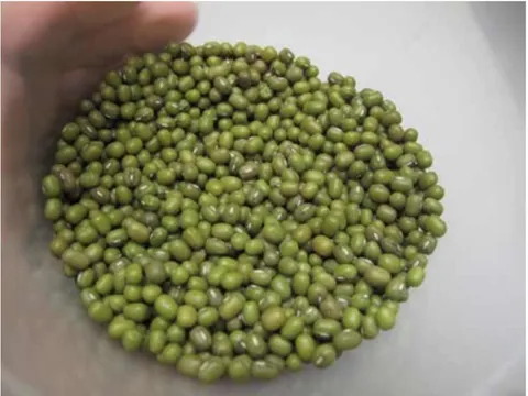 Chuyên gia hướng dẫn bữa ăn đủ chất trong thời kỳ 'bão giá'