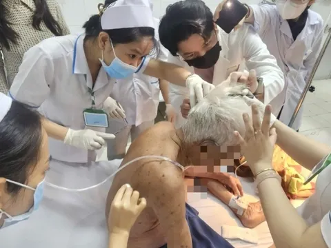 Cụ ông 74 tuổi ở Đồng Tháp bị ong đốt hơn 100 mũi đã tử vong